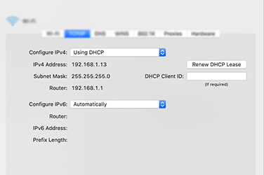 Use Correct IP Address