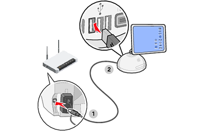 Verify the Cable Connections